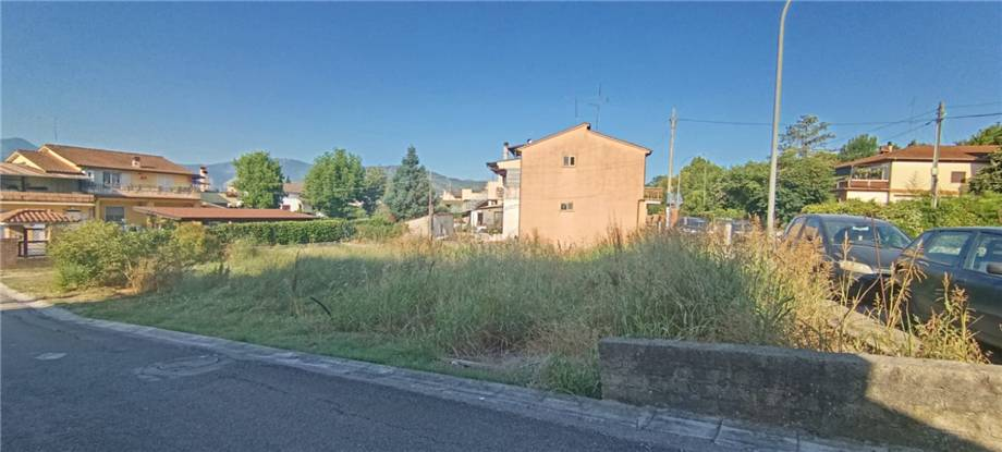 immagine annuncio 3 di 6