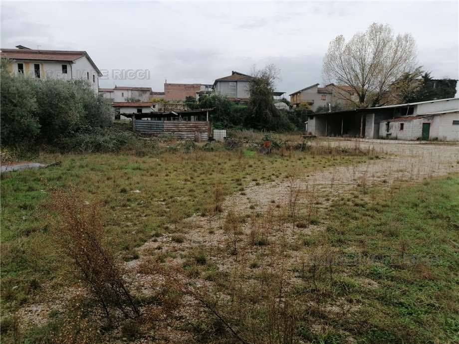 immagine annuncio 3 di 8