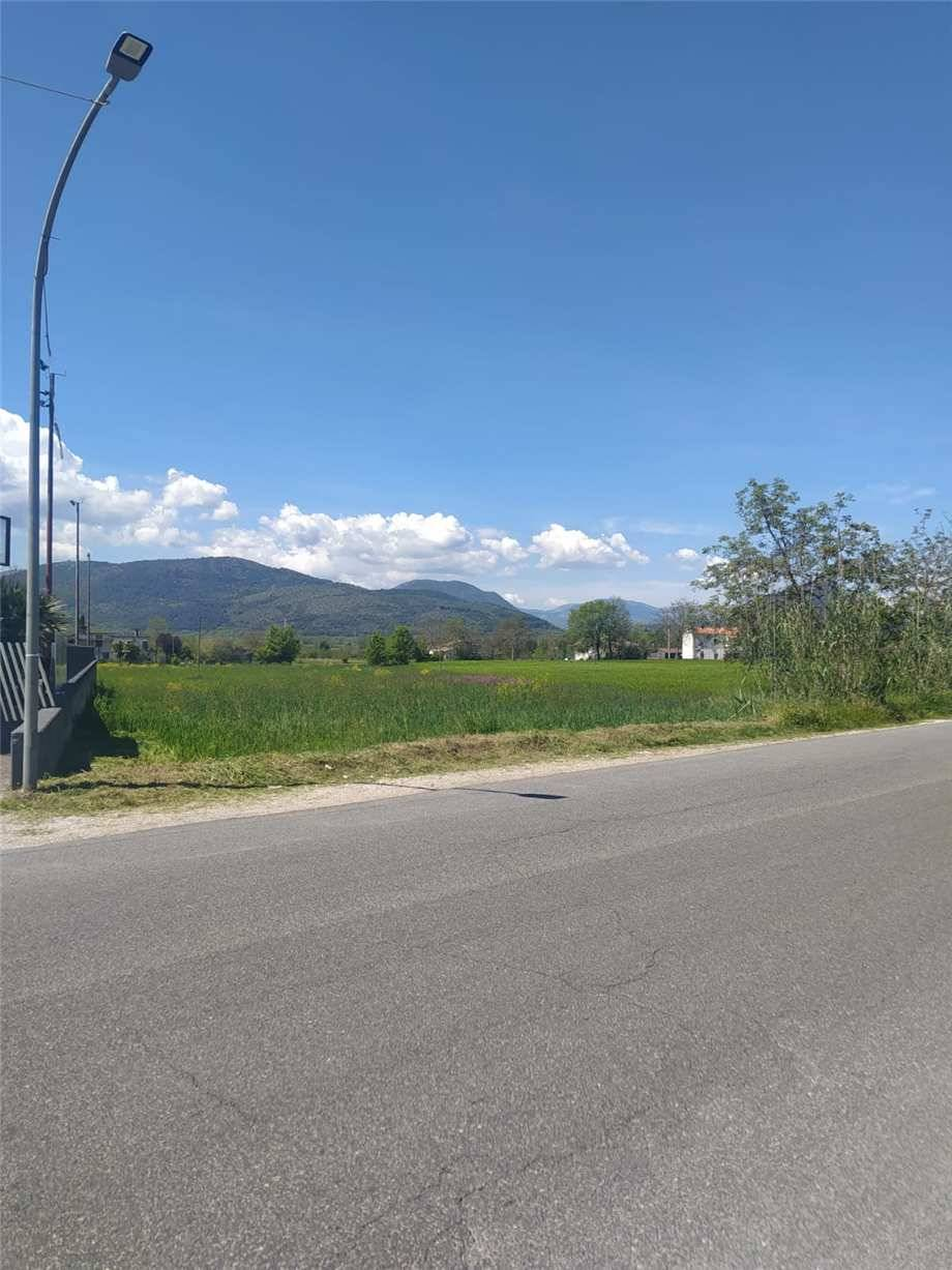 immagine annuncio 4 di 6