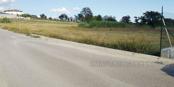 immagine annuncio 1 di 6