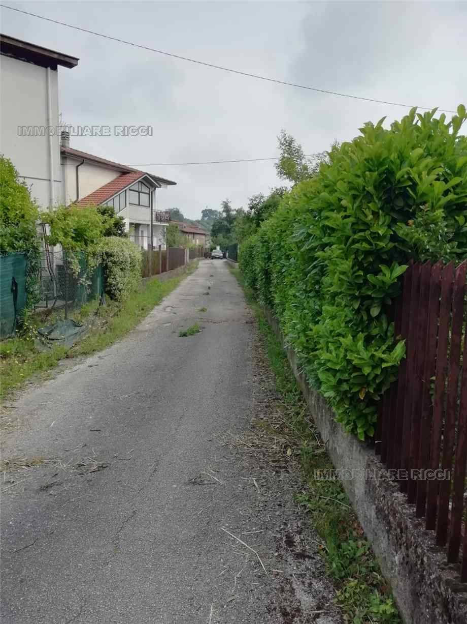 immagine annuncio 5 di 8