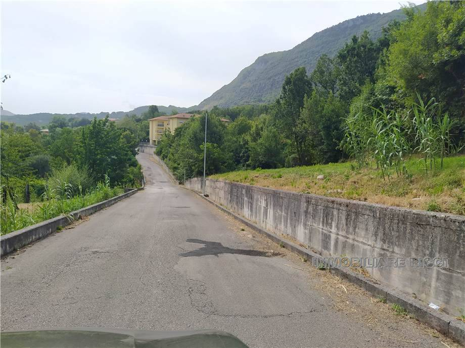 immagine annuncio 4 di 6