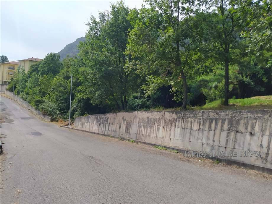 immagine annuncio 5 di 6
