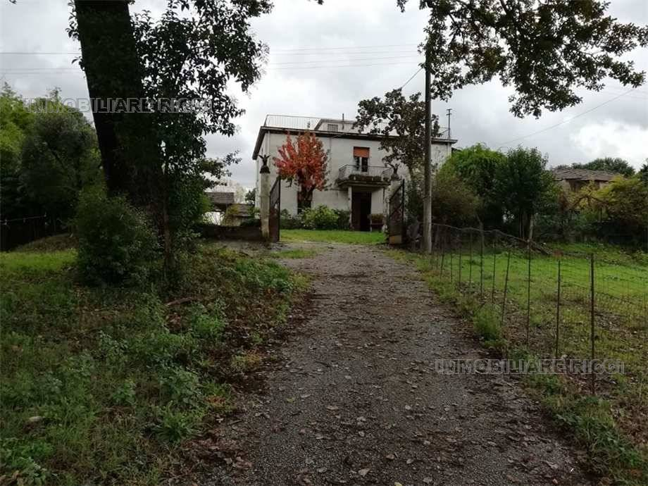 immagine annuncio 3 di 6