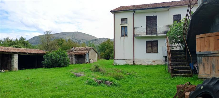 immagine annuncio 4 di 10