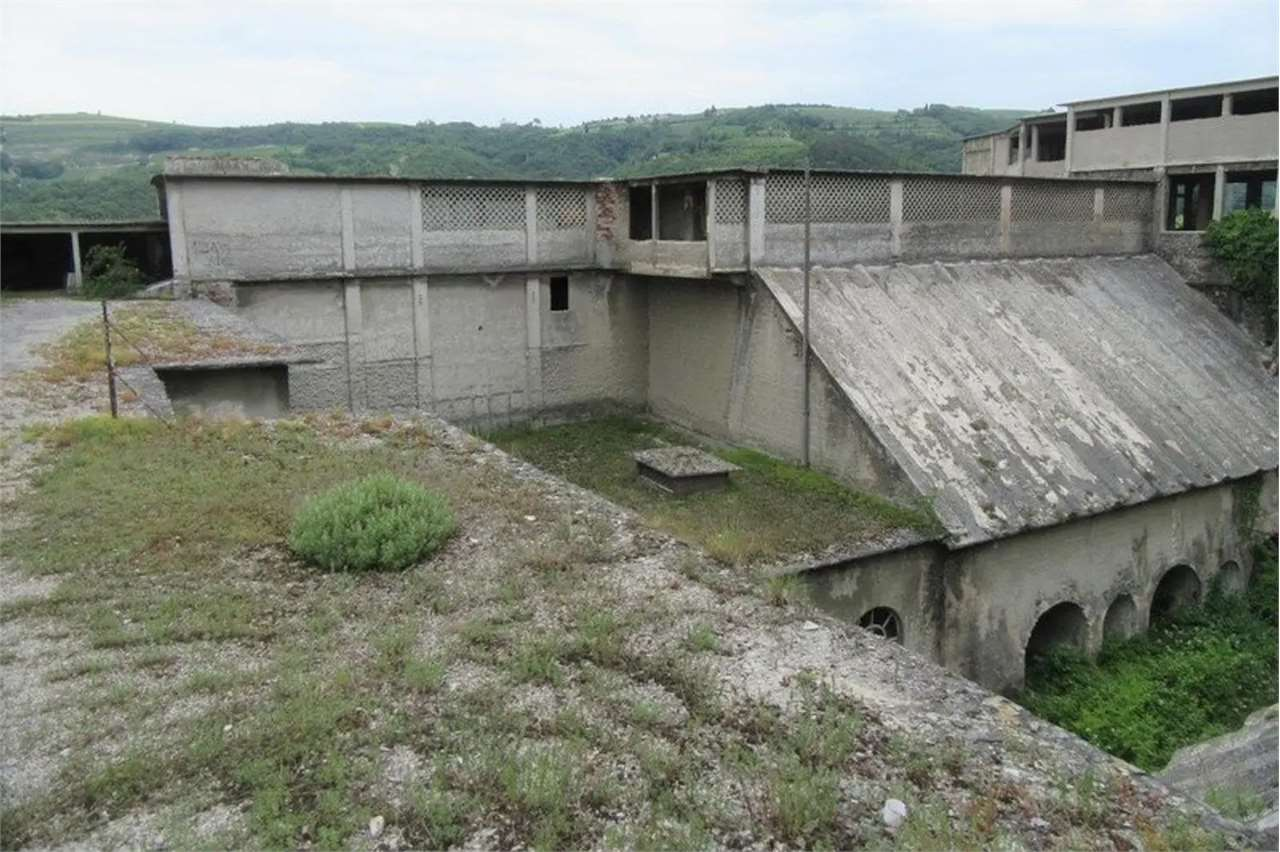 immagine annuncio 9 di 10