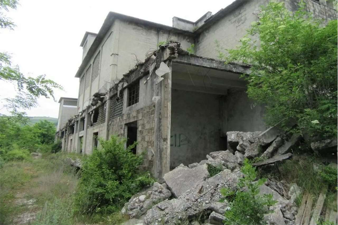 immagine annuncio 7 di 10