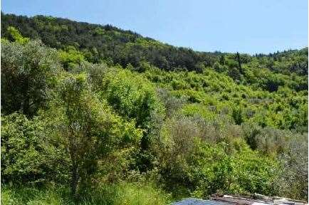 immagine annuncio 3 di 6