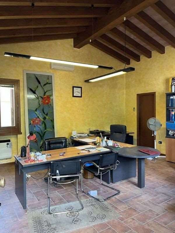 immagine annuncio 6 di 7