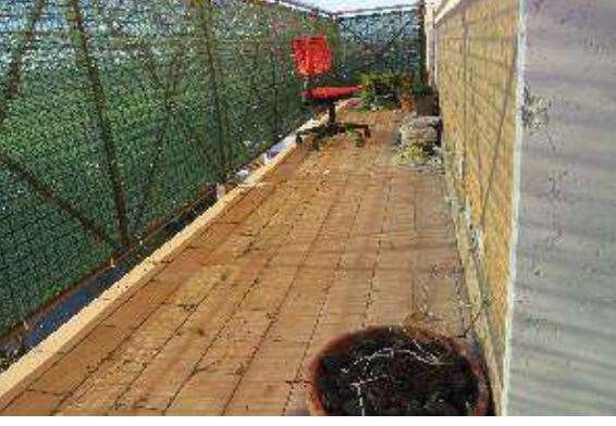 immagine annuncio 6 di 10