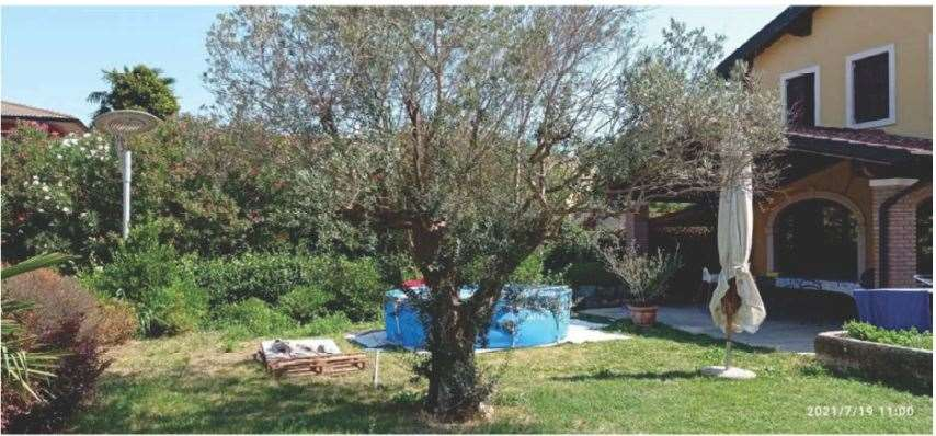 immagine annuncio 4 di 10