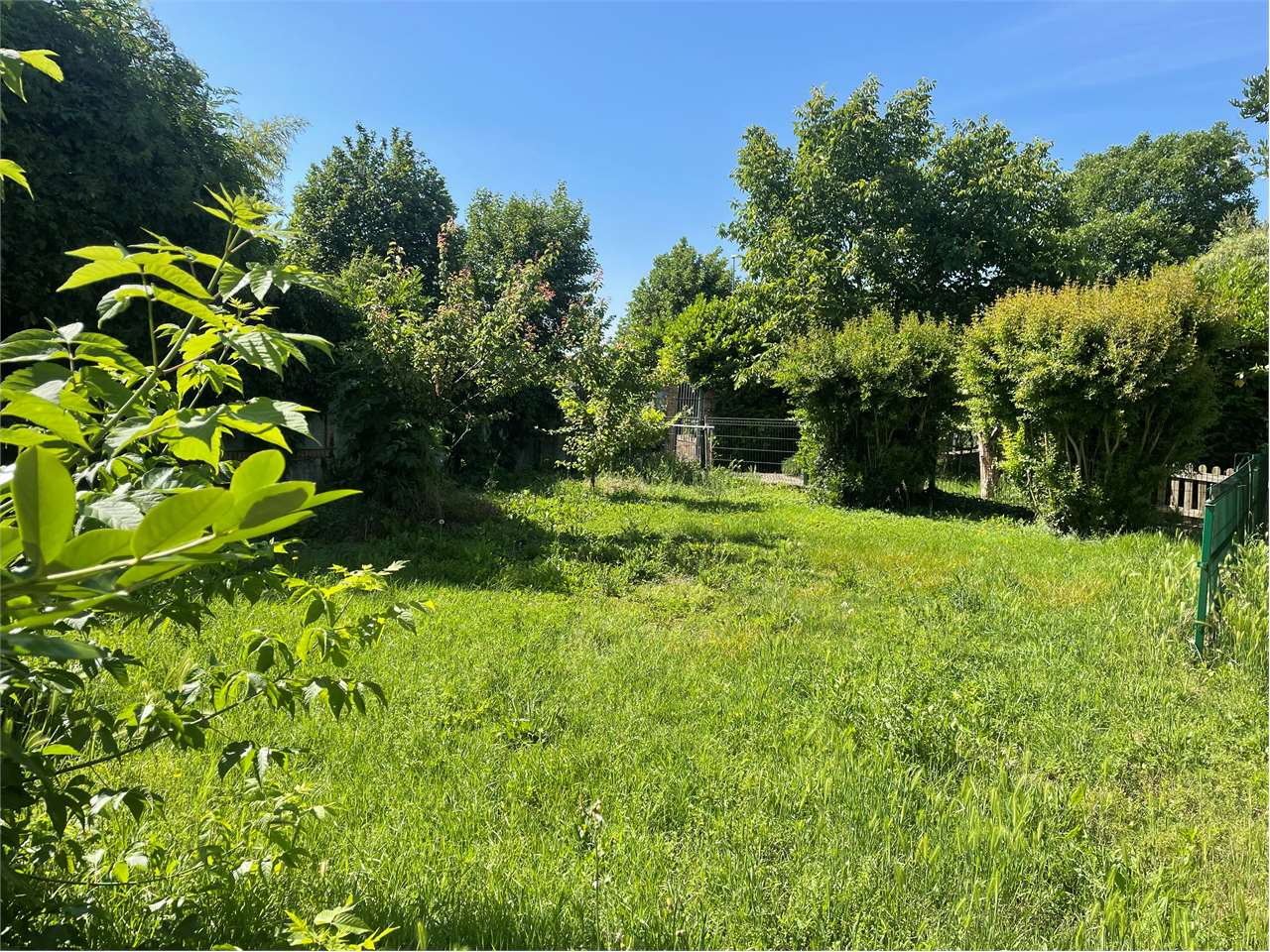 immagine annuncio 7 di 10