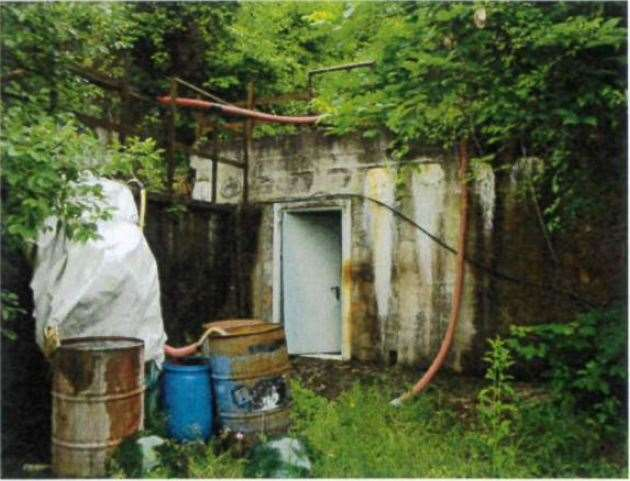 immagine annuncio 9 di 10