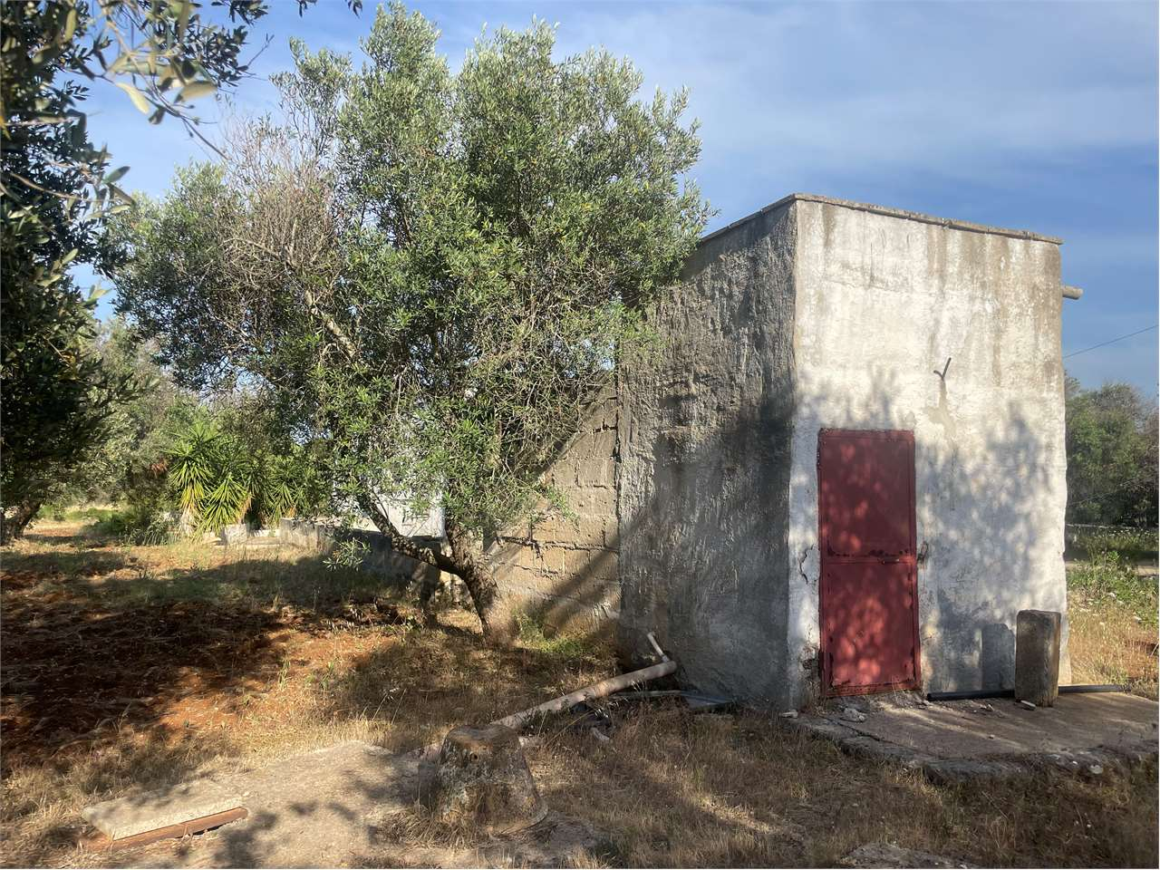 immagine annuncio 4 di 10