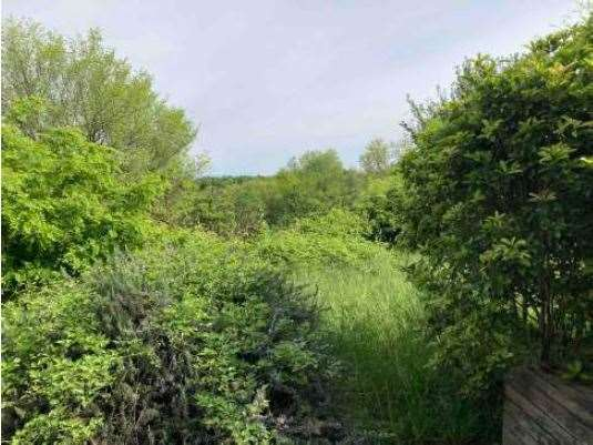 immagine annuncio 5 di 10