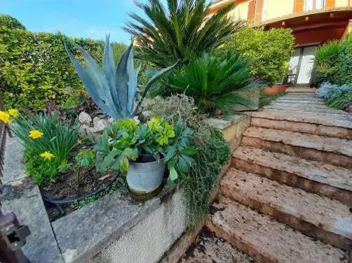 immagine annuncio 3 di 10