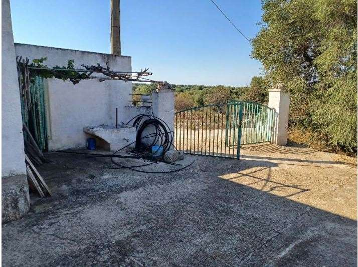 immagine annuncio 2 di 9