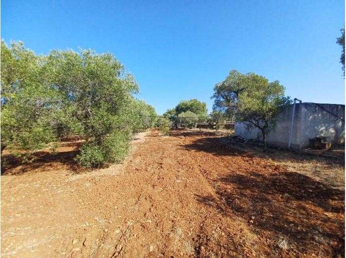 immagine annuncio 5 di 9