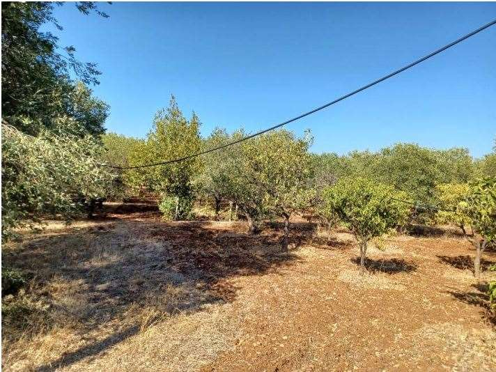 immagine annuncio 6 di 9