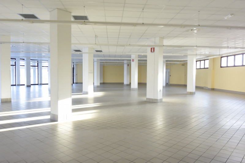 immagine annuncio 5 di 6