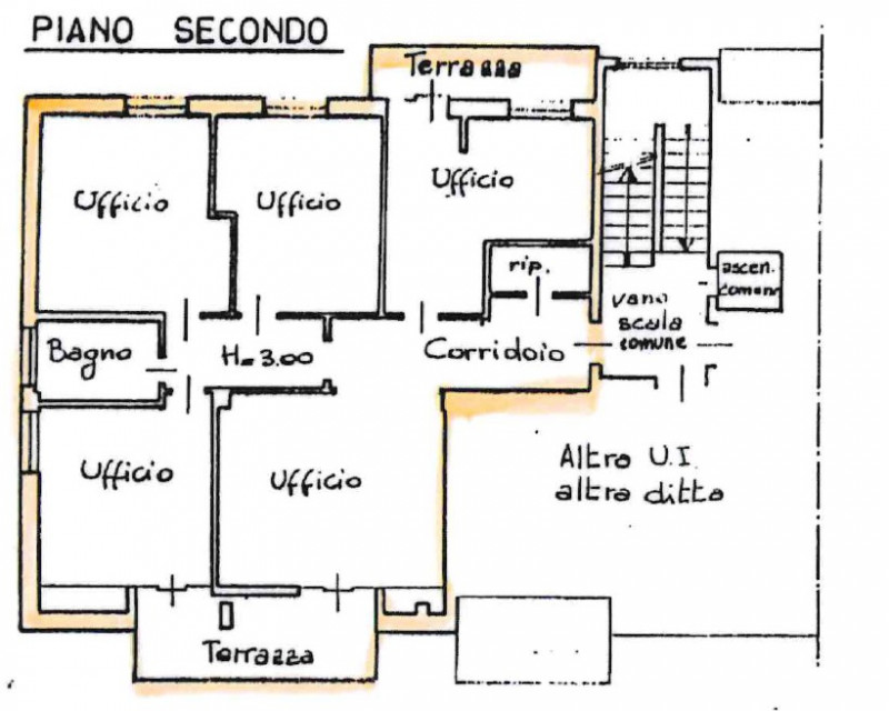 immagine annuncio 9 di 10