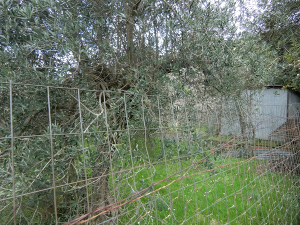 immagine annuncio 2 di 3