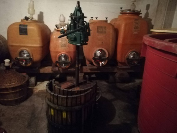 immagine annuncio 3 di 10