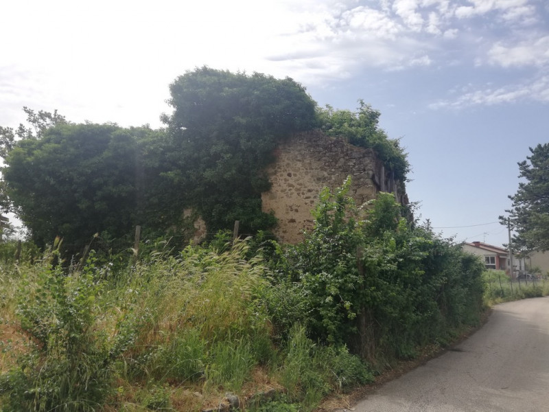 immagine annuncio 2 di 4