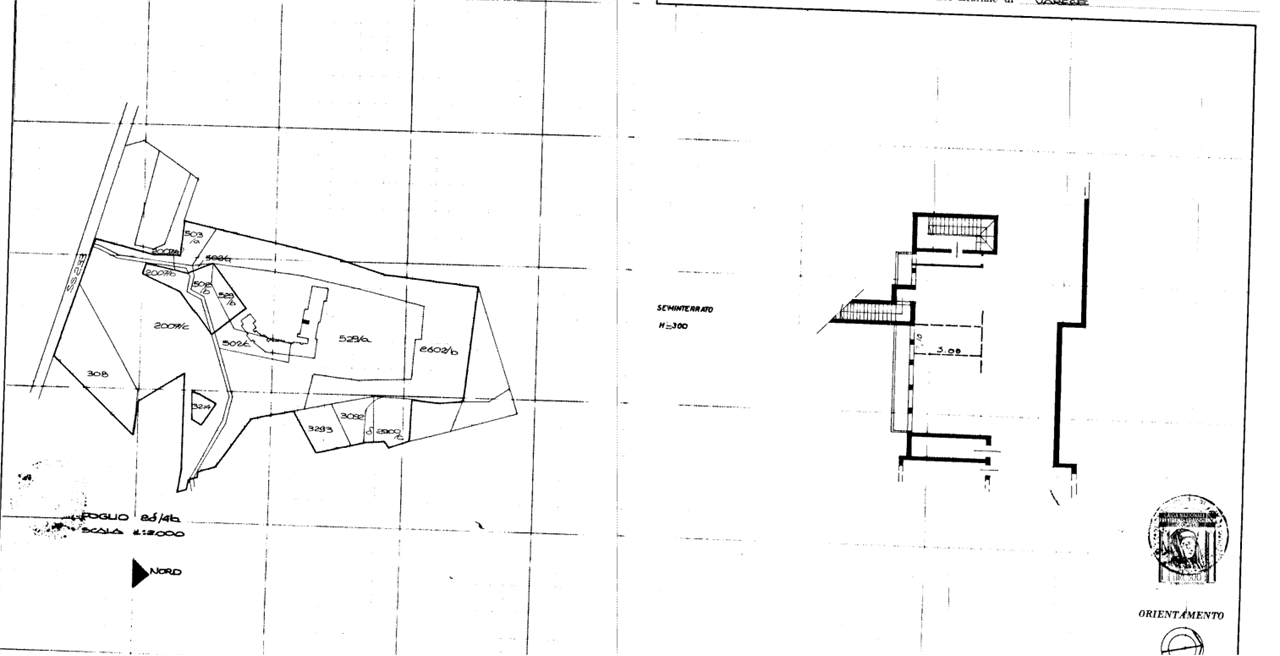 immagine annuncio 2 di 6
