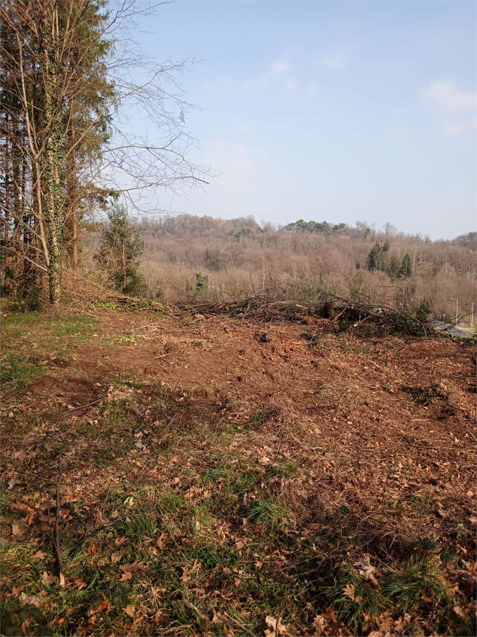 immagine annuncio 3 di 4