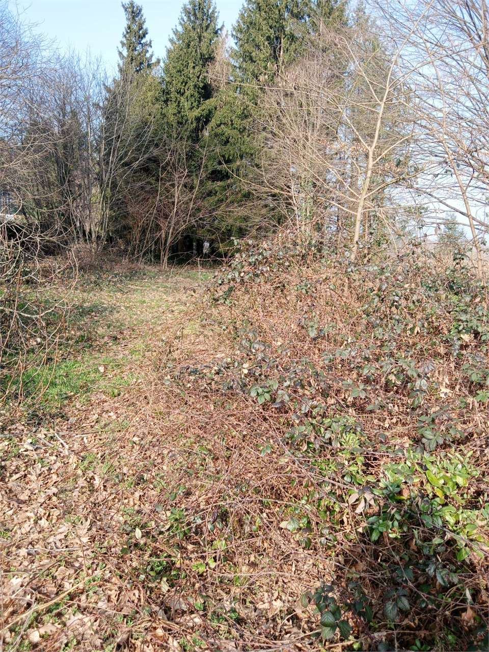 immagine annuncio 1 di 4