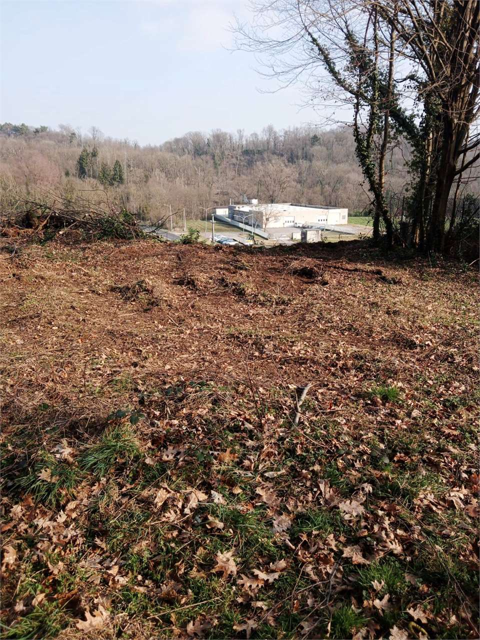 immagine annuncio 2 di 4