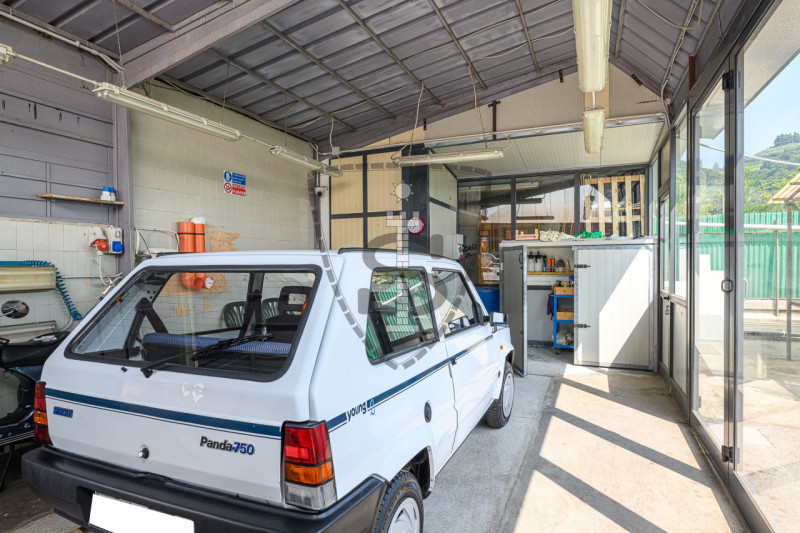 immagine annuncio 2 di 10