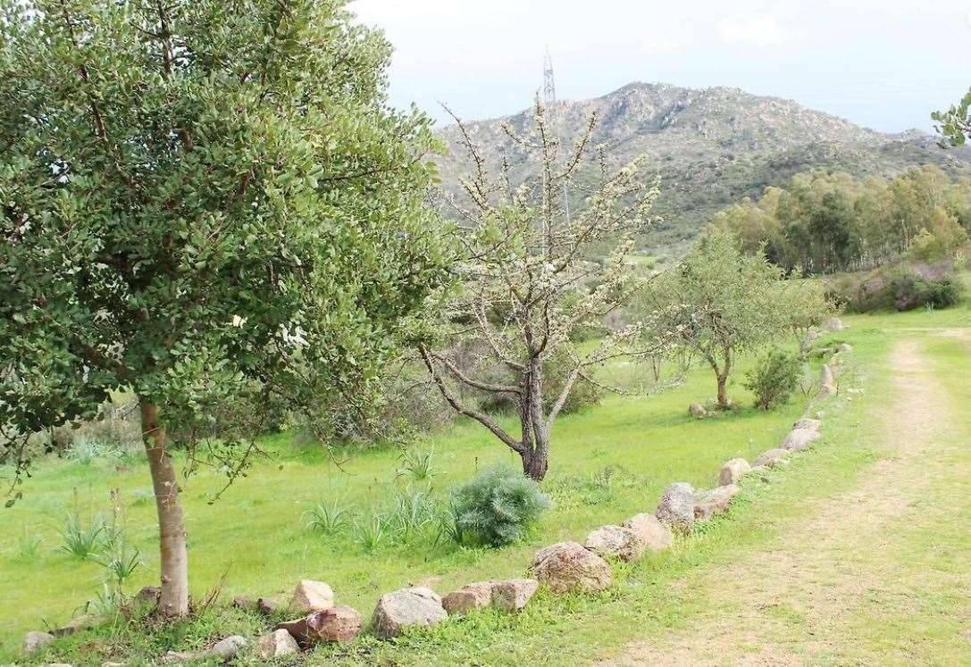 immagine annuncio 4 di 10