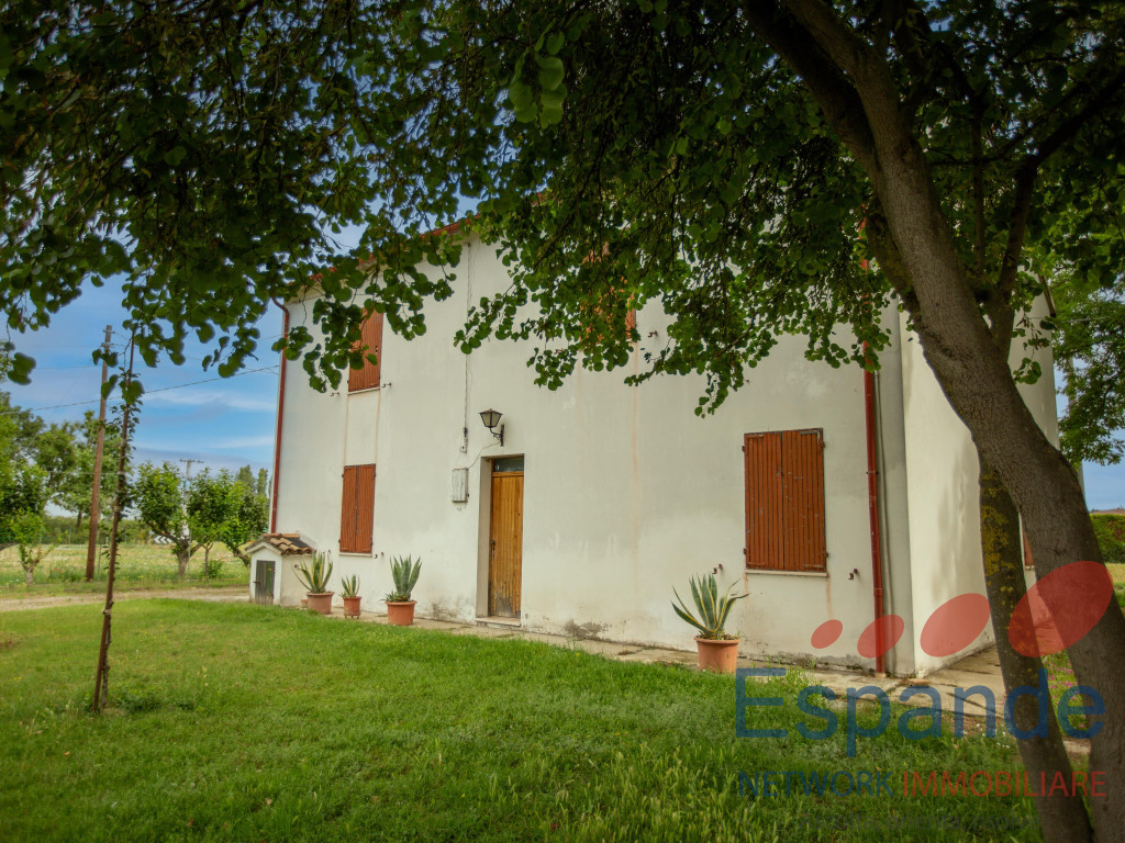 immagine annuncio 1 di 9