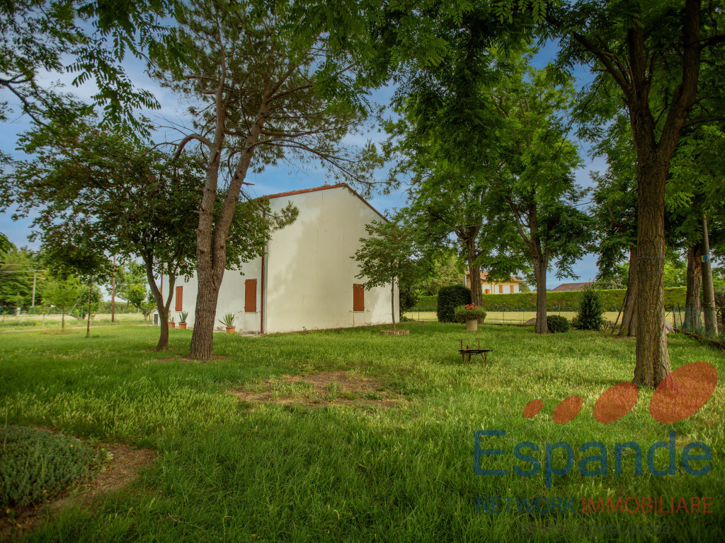 immagine annuncio 4 di 9