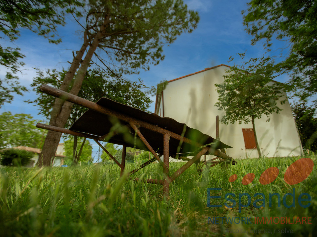 immagine annuncio 7 di 9