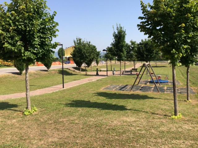 immagine annuncio 5 di 6