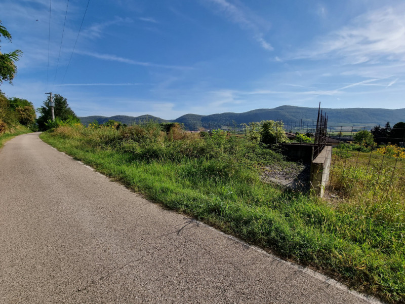 immagine annuncio 3 di 7