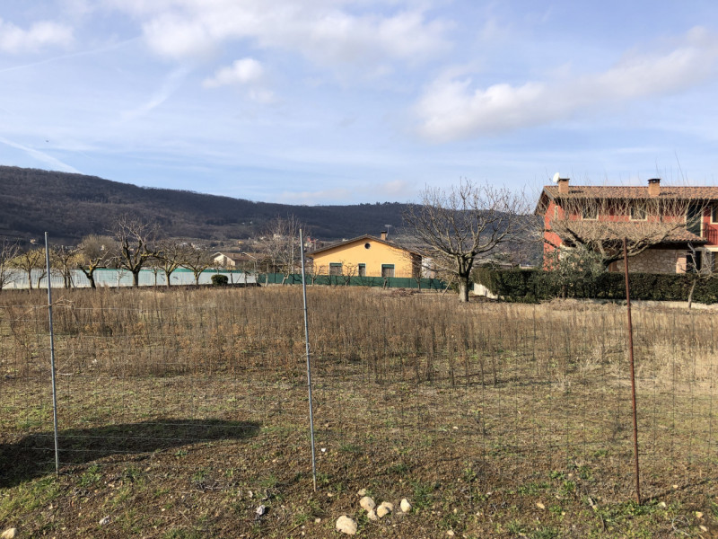 immagine annuncio 4 di 7