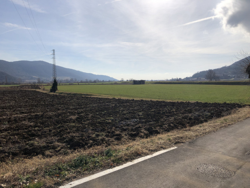 immagine annuncio 3 di 7