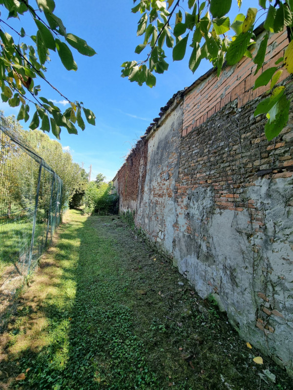 immagine annuncio 5 di 10