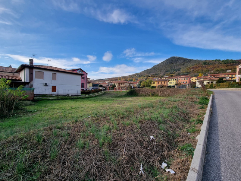 immagine annuncio 5 di 6