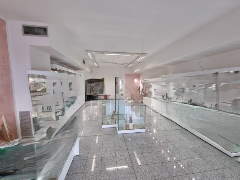 immagine annuncio 2 di 7