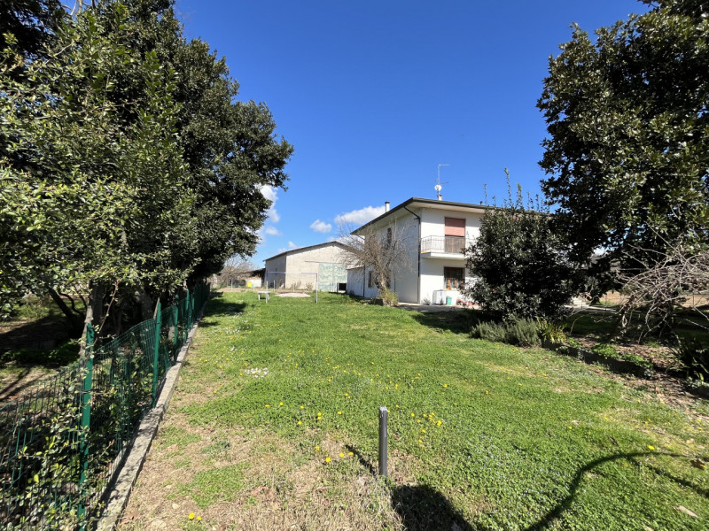 immagine annuncio 3 di 8