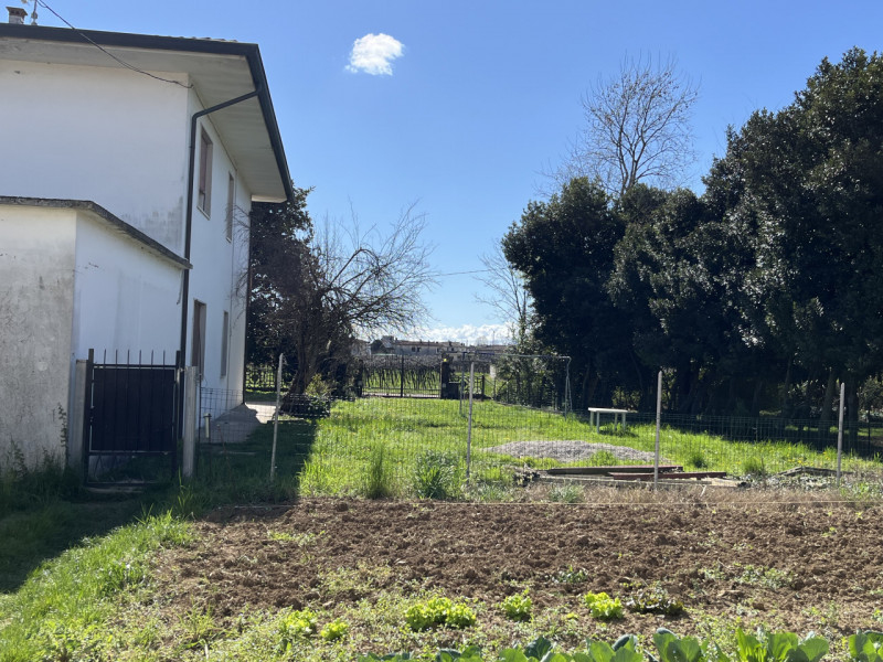 immagine annuncio 4 di 8