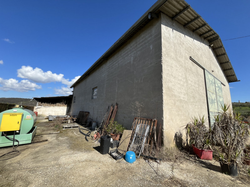 immagine annuncio 5 di 8