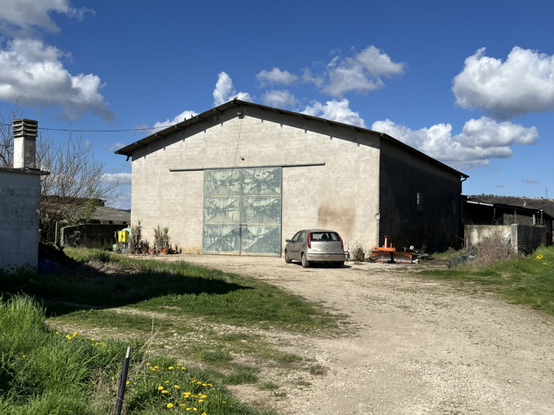 immagine annuncio 7 di 8