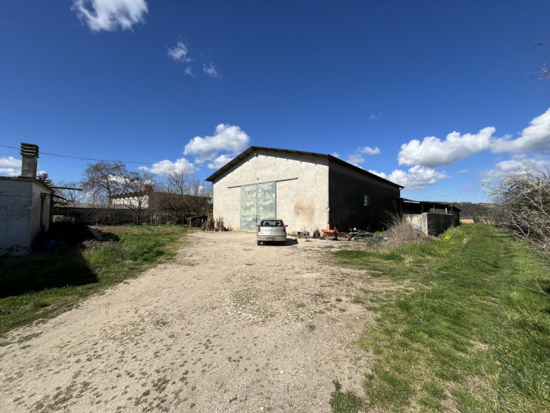 immagine annuncio 6 di 8