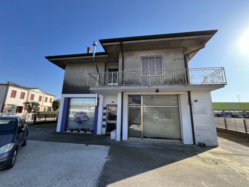 immagine annuncio 3 di 8